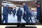 Vidéos Insolites